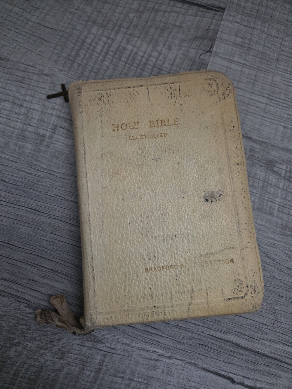 Red Letter Edition Bible Illustrated Holy Bible in Cream Leather Cover